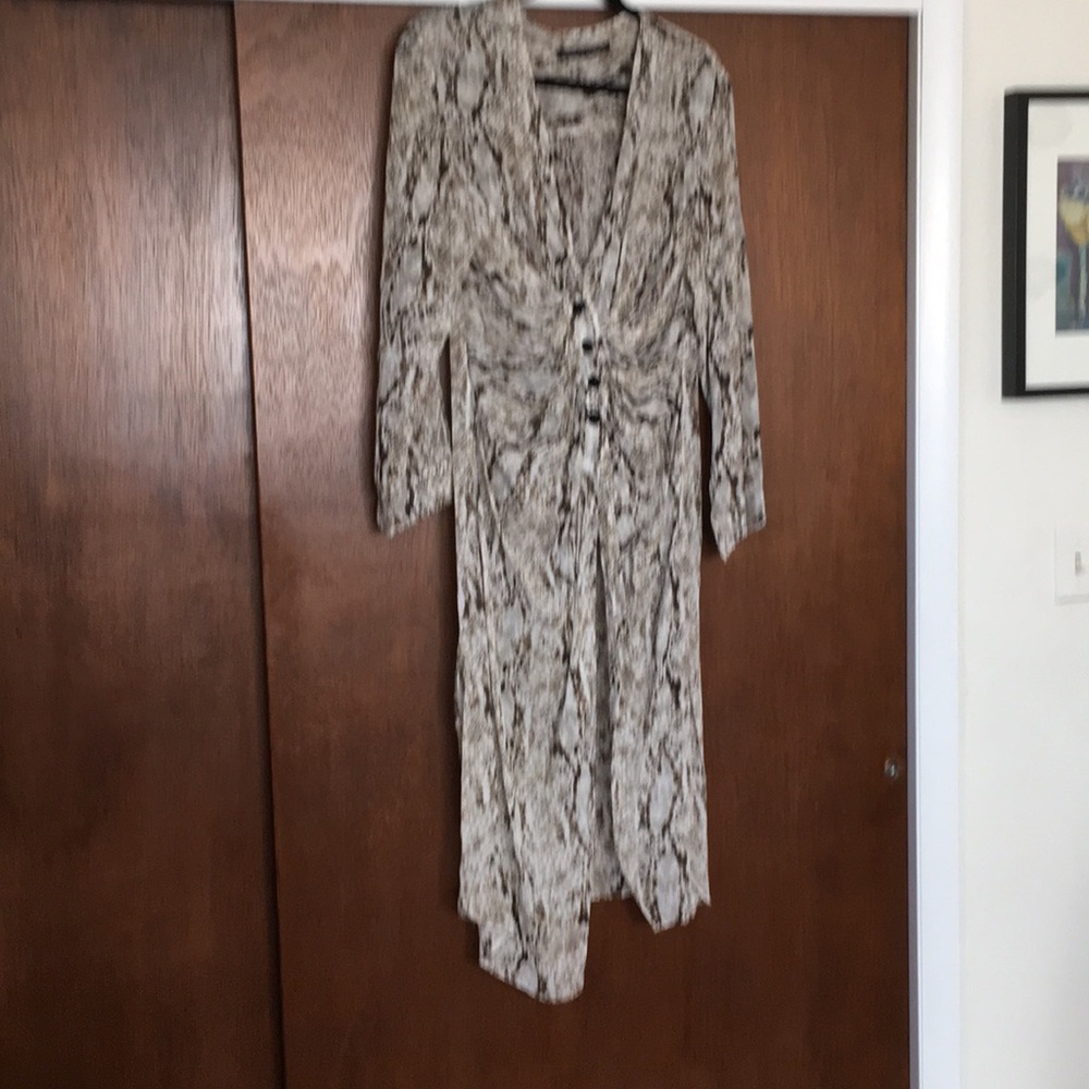 Zara sheer snake skin dress